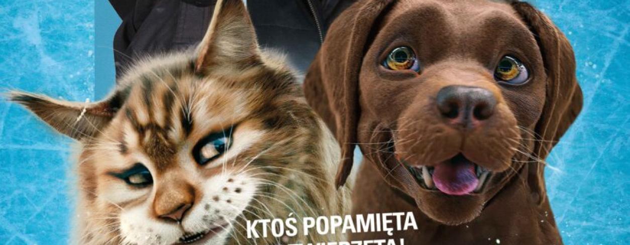 Plakat filmu  PIES I KOT. Pies i kot stoją obok siebie i uśmiechają się. Nad nimi trzy postaci: dwóch mężczyzn i kobieta
