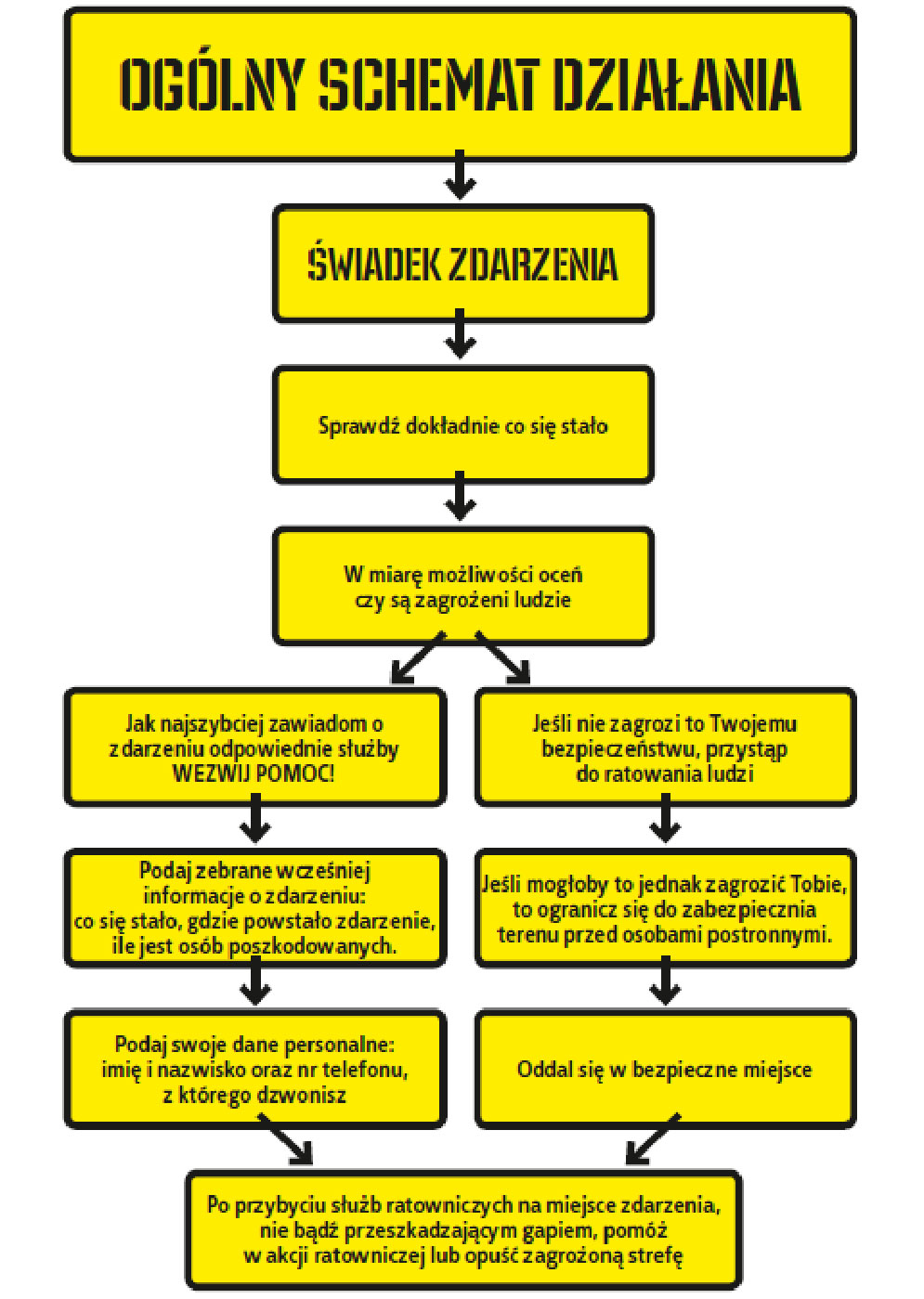 OGÓLNY SCHEMAT DZIAŁANIA