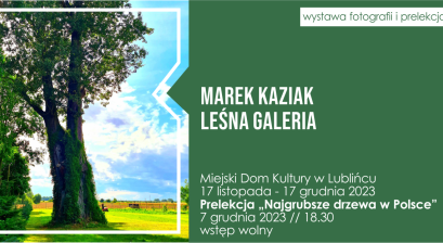 Grafika ze zdjęciem dużego drzewa 