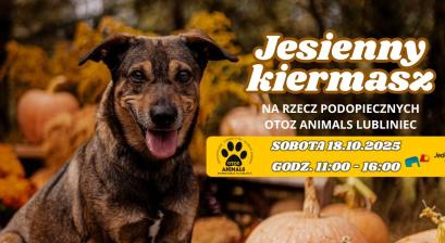 plakat informacyjny teść w opisie wydarzenia