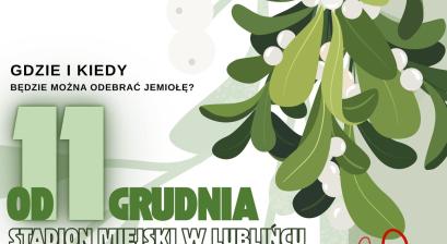 plakat informacyjny teść w opisie wydarzenia