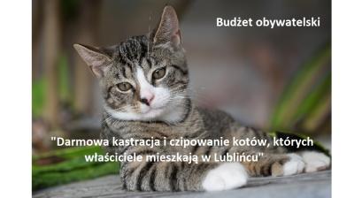 kot