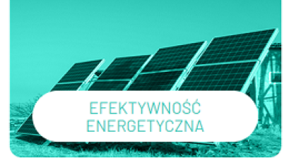 Zielony lider loga