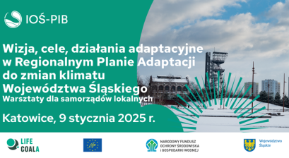 wizje cele działania adaptacyjne w regionalnym planie adaptacji do zmian klimatu