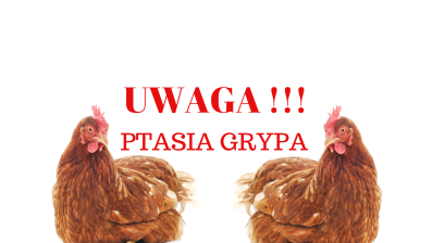 Uwaga!!! Ptasia Grypa