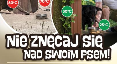 Nie znęcaj się nad swoim psem