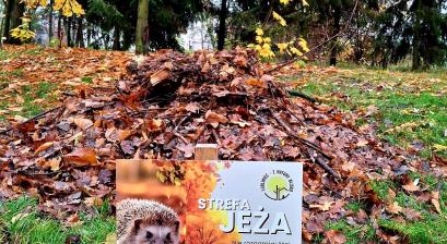 Zdjęcie z tabliczką informacyjno-edukacyjną promującą strefy jeża. W tle jesienny kopiec z liści.