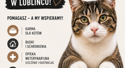 Zostań społecznym opiekunem kotów wolno żyjących