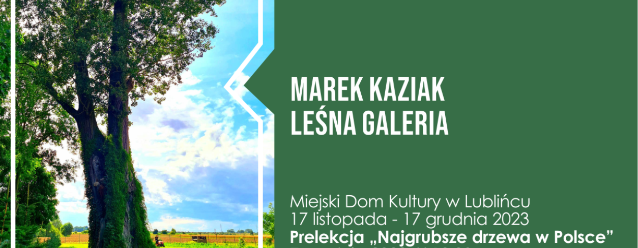 Grafika ze zdjęciem dużego drzewa 
