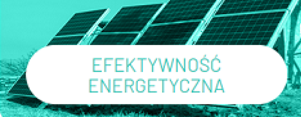 Zielony lider loga
