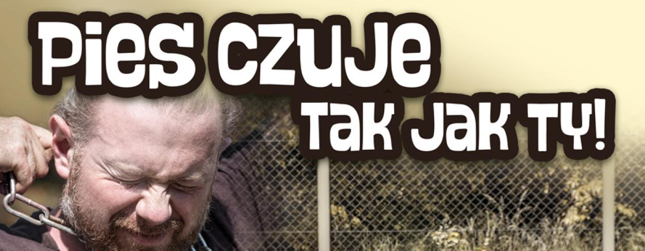 Pies czuje tak jak Ty!