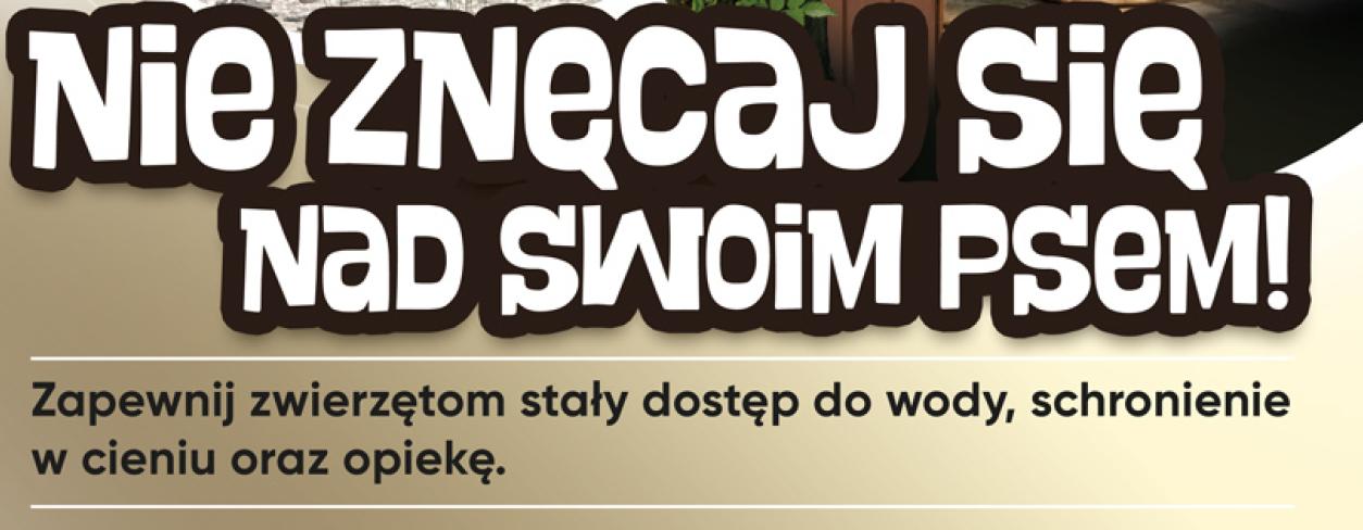Nie znęcaj się nad swoim psem