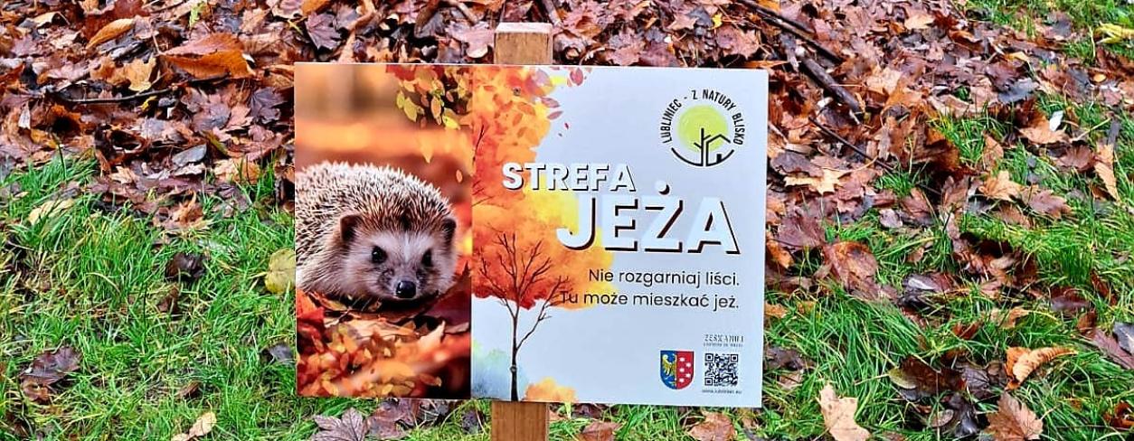 Zdjęcie z tabliczką informacyjno-edukacyjną promującą strefy jeża. W tle jesienny kopiec z liści.