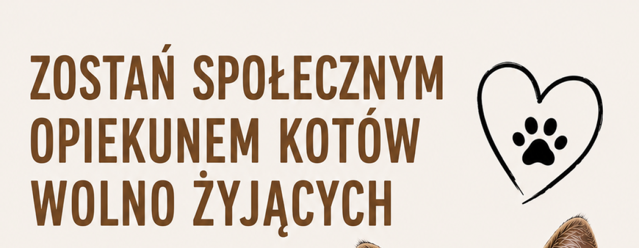 Zostań społecznym opiekunem kotów wolno żyjących