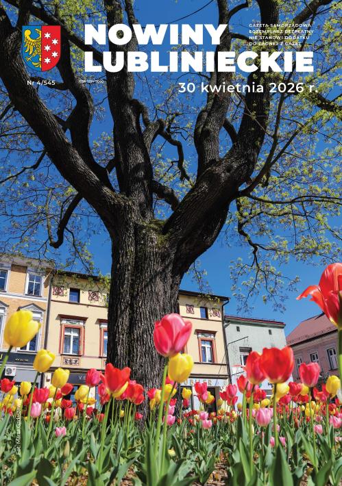 Drzewo na lublinieckim rynku