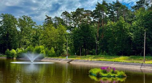 Zdjęcie - Park Grunwaldzki - fontanna i pływająca wyspa
