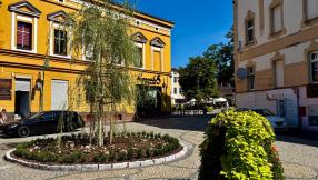 Zdjęcie zagospodarowania rabat na Placu Kopernika