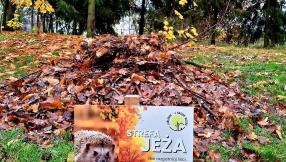Zdjęcie z tabliczką informacyjno-edukacyjną promującą strefy jeża. W tle jesienny kopiec z liści.