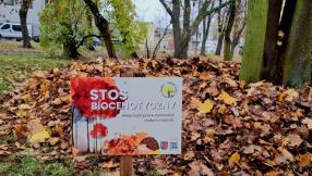 Zdjęcie z tabliczką informacyjno-edukacyjną promującą strefę biocenotyczną. W tle jesienny kopiec z liści.