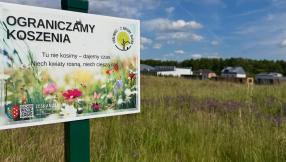 Zdjęcie łąki kwietnej na terenie Lublińca_czerwiec_2026